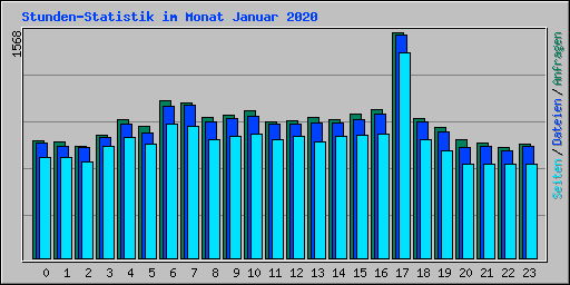 Stunden-Statistik im Monat Januar 2020