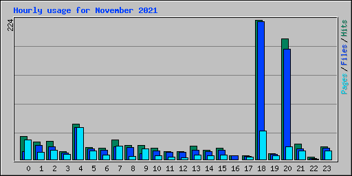 Hourly usage for November 2021