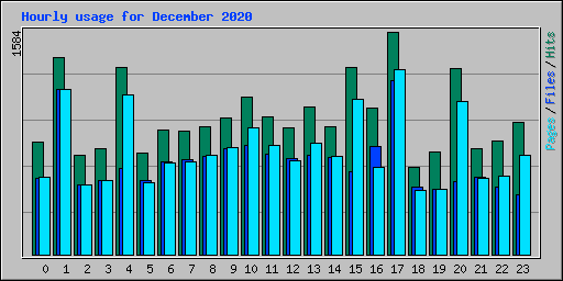 Hourly usage for December 2020