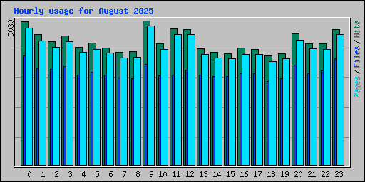 Hourly usage for August 2025