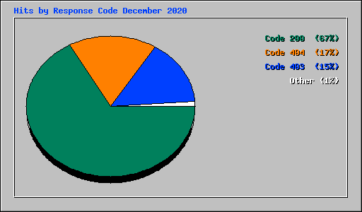 Hits by Response Code December 2020