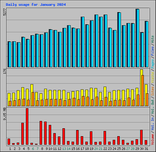 Daily usage for January 2024