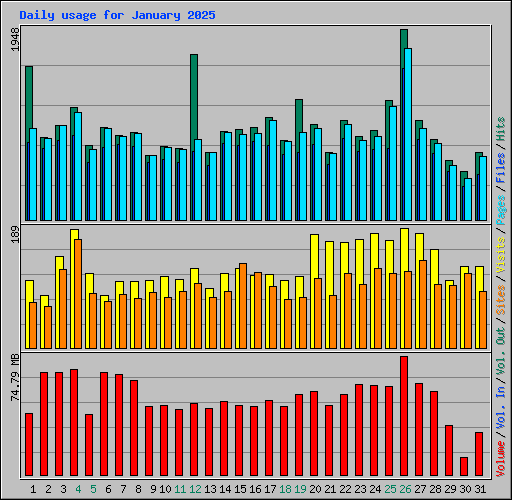 Daily usage for January 2025