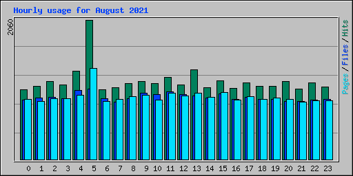 Hourly usage for August 2021
