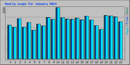 Hourly usage for January 2024