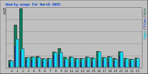 Hourly usage for March 2025
