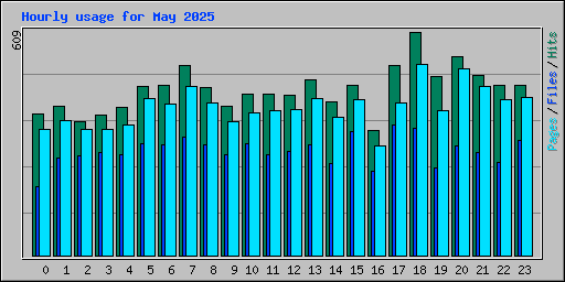 Hourly usage for May 2025