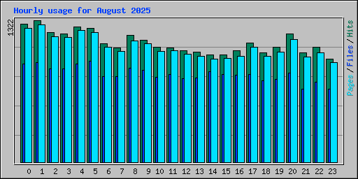 Hourly usage for August 2025