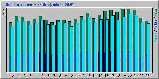 Hourly usage for September 2025
