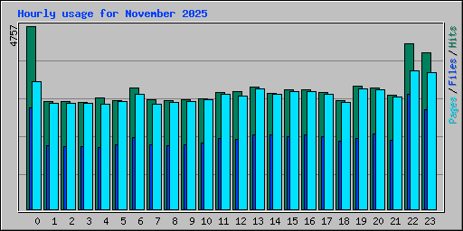 Hourly usage for November 2025