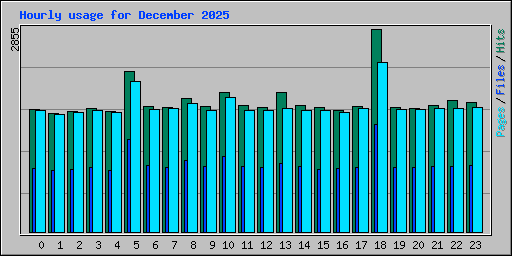 Hourly usage for December 2025