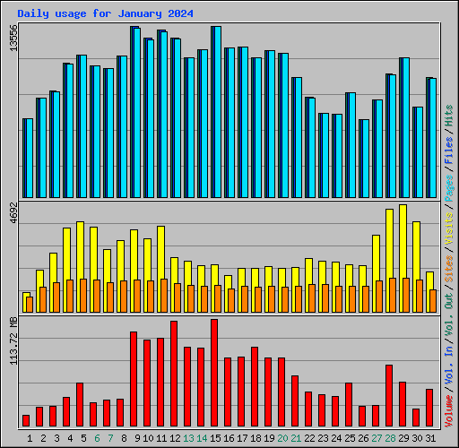 Daily usage for January 2024