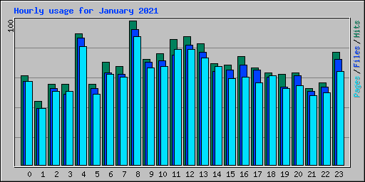 Hourly usage for January 2021