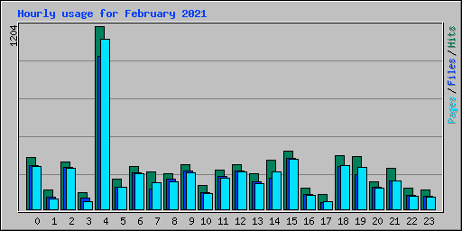 Hourly usage for February 2021