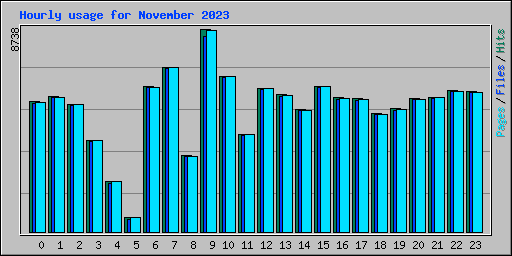 Hourly usage for November 2023