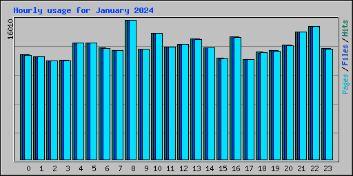 Hourly usage for January 2024