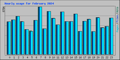 Hourly usage for February 2024