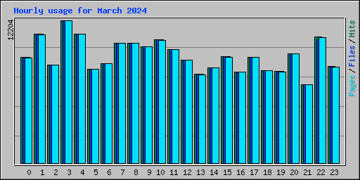 Hourly usage for March 2024
