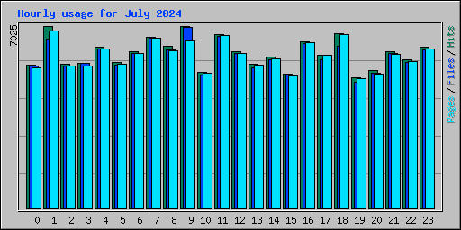 Hourly usage for July 2024