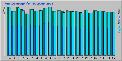 Hourly usage for October 2024