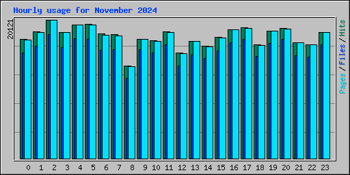 Hourly usage for November 2024