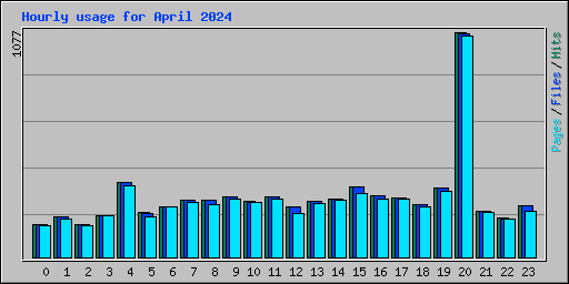 Hourly usage for April 2024