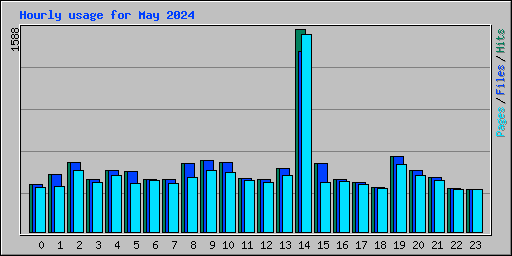 Hourly usage for May 2024
