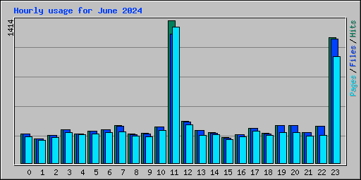 Hourly usage for June 2024